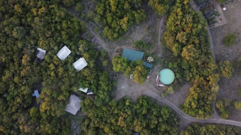 Glamping del Monte, Gualeguaychú, Entre Ríos