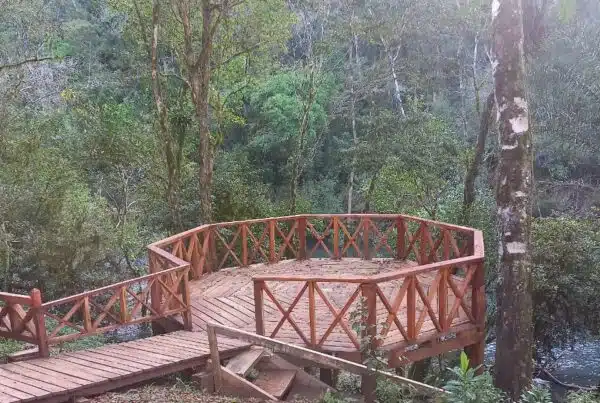 Glamping Tamanakuna