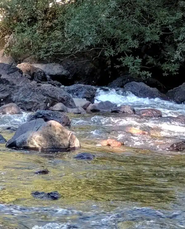Glamping Tamanakuna