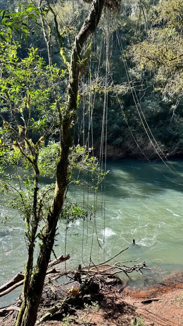 Glamping Tamanakuna