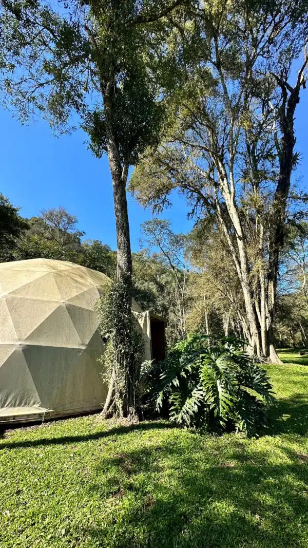 Glamping Tamanakuna