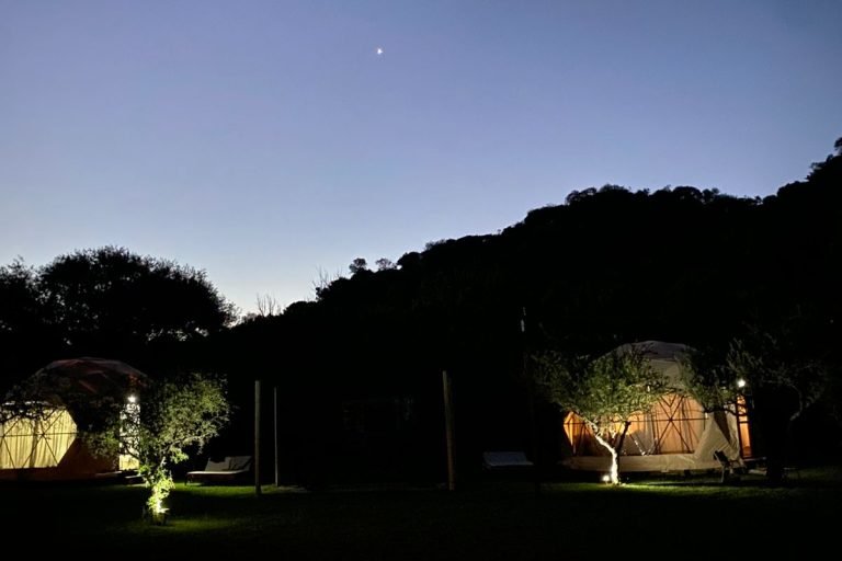 5d608a43-c6ab-475d-8a3d-815435d574af