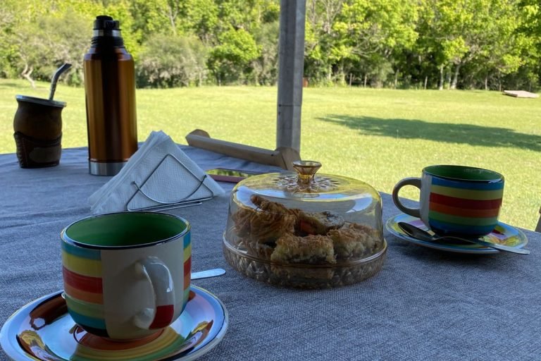 67787be4-a0d4-45ea-b20d-12a7d0e979a3