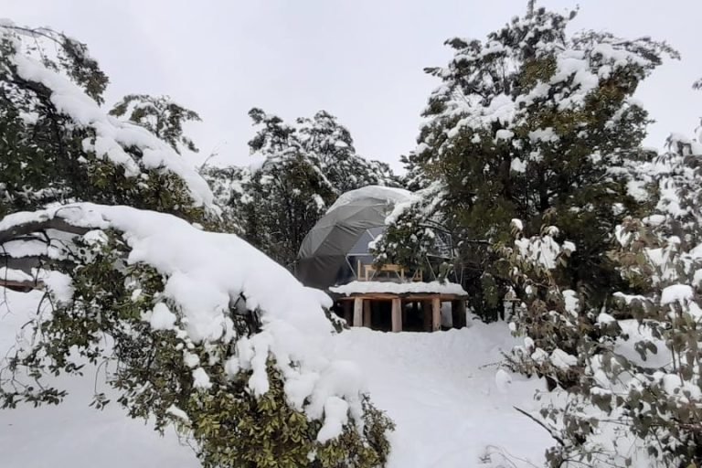 Agreste Bahía Rosales, Parque Nacional Los Alerces, Chubut 2
