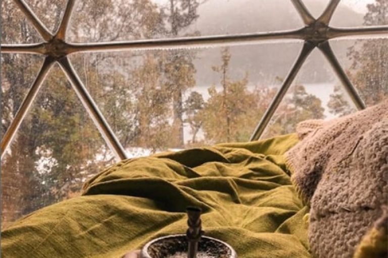 Agreste Bahía Rosales, Parque Nacional Los Alerces, Chubut 5