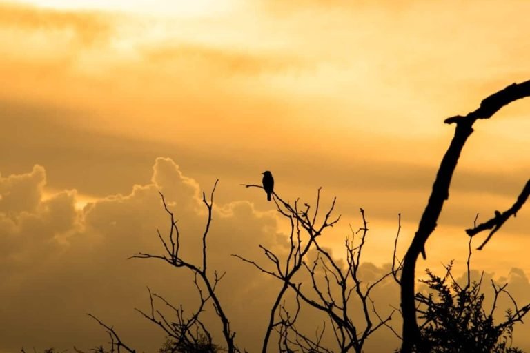 Aguas Antiguas Glamping, San Marcos Sierras, Córdoba 12