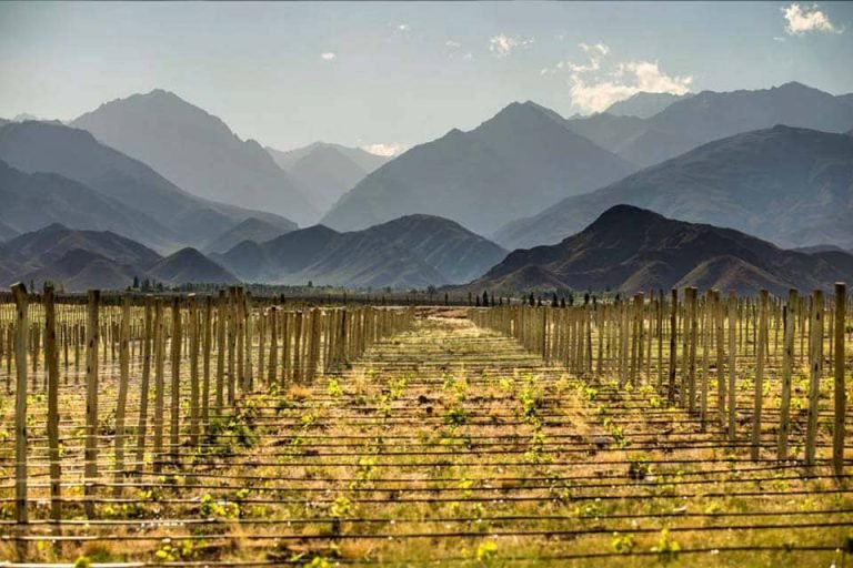 Alpasión, Valle de Uco, Mendoza 2