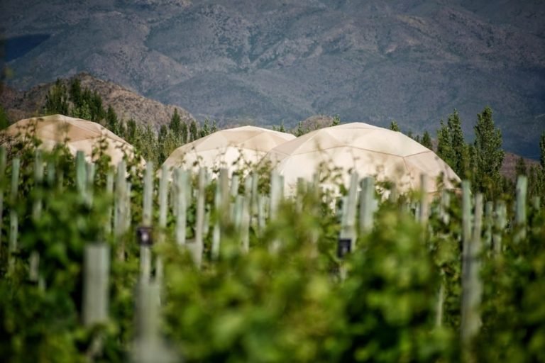 Alpasión, Valle de Uco, Mendoza 8