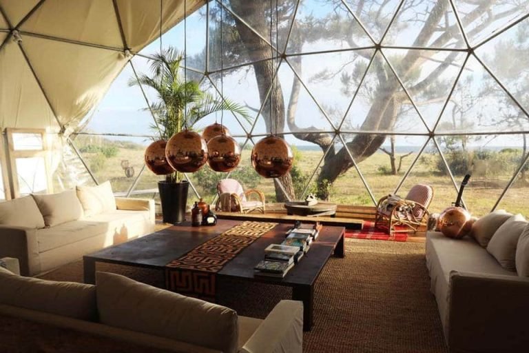 Big Bang, Sauce de Portezuelo 4