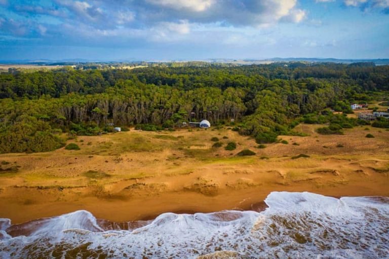 Big Bang, Sauce de Portezuelo 5