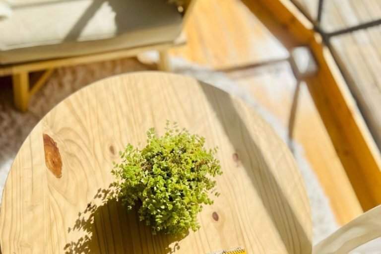 Bóreas Ecoluxury Glamping, El Calafate