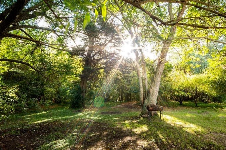 Bosques del Colorado, Canelones, Uruguay 3-min