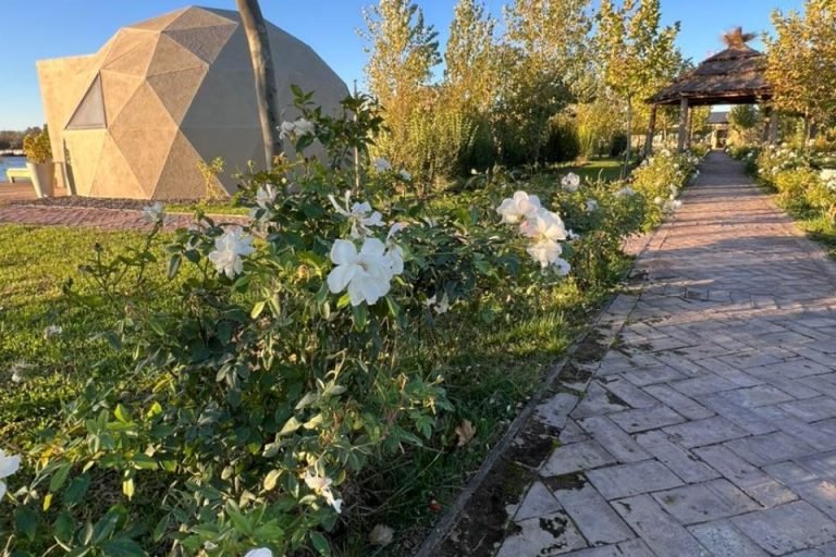 BuenaVista Glamping, Barda del Medio, Rio Negro 5-min