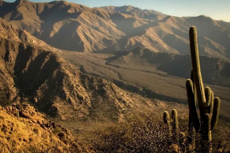 Casa Arbol Glamping, Salta 3-min