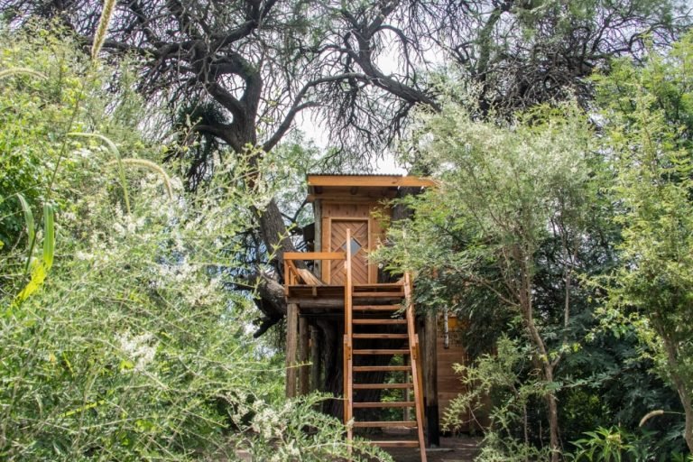 Casa sobre el árbol, Los Sauces, San Marcos Sierras 1