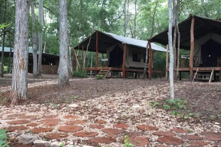 Chaco Paraguayo, Boquerón, Paraguay 1