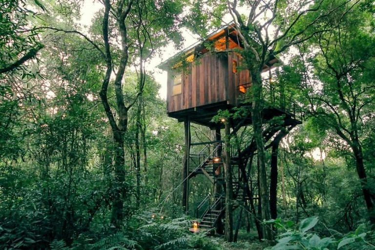 Cuña Pirú Lodge, Misiones 1-min