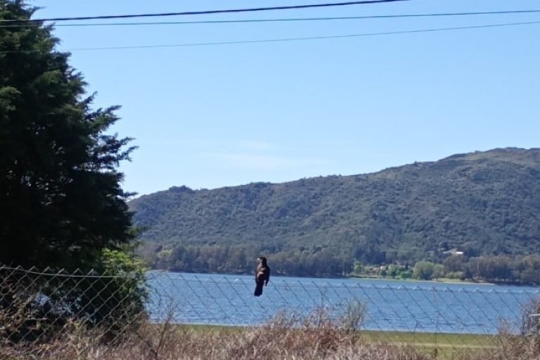 Domos Los Fractales 2