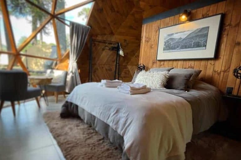 Domos Moquehue, Villa Pehuenia, Neuquén 4-min