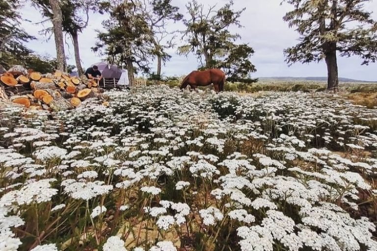 Domos de la Estancia, Tolhuin. Tierra del Fuego 7-min