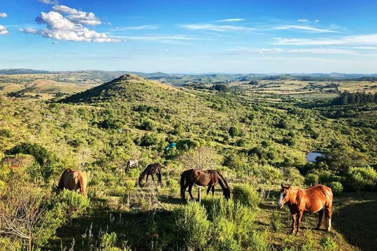 Ecolodge Arrayan, Maldonado, Uruguay 1