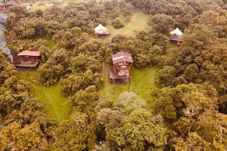 El Color de mis Rêves, Caldas, Colombia 13-min