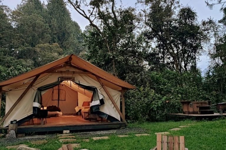 El Color de mis Rêves, Caldas, Colombia 5-min