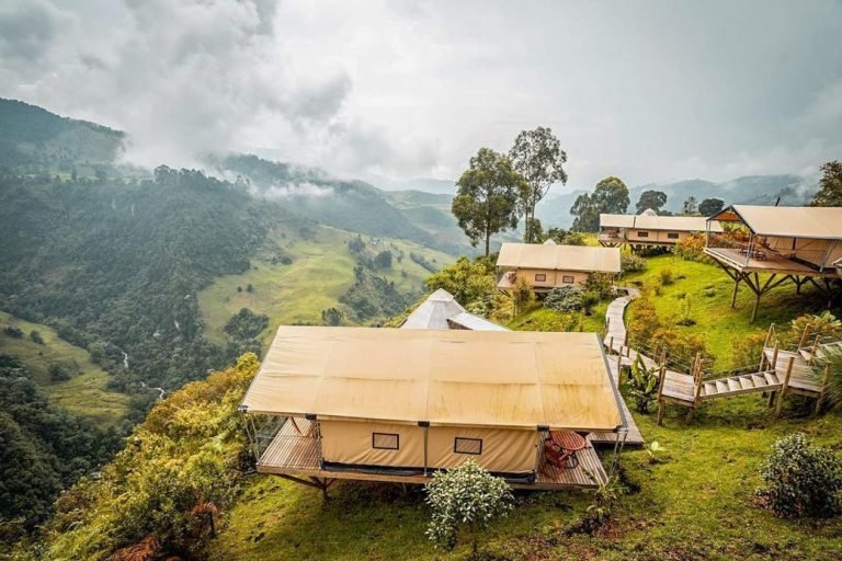 El Nido del Cóndor, Caldas 4-min