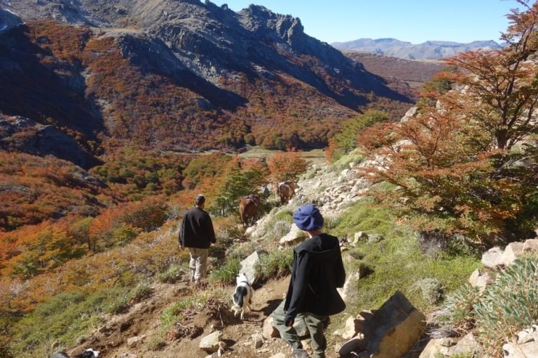 El Sapucai Glamping 4