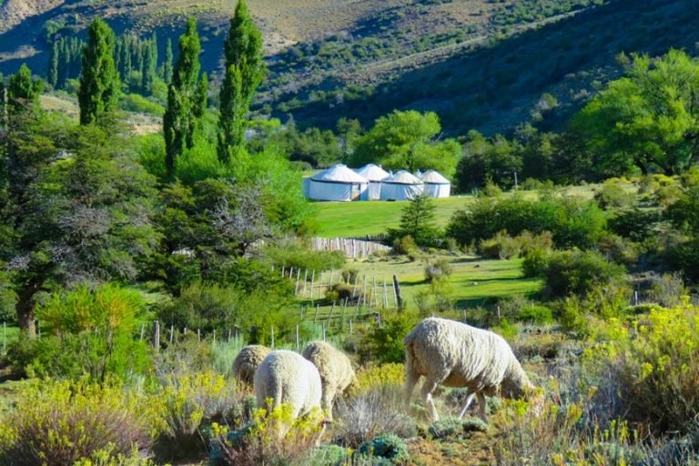 El Sapucai Glamping 6