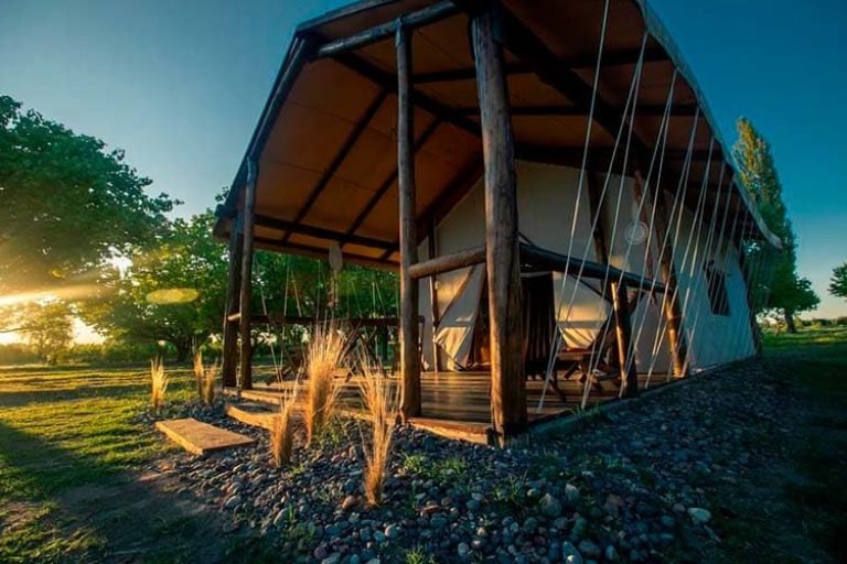 Entre Acequias, General Alvear, Mendoza 2