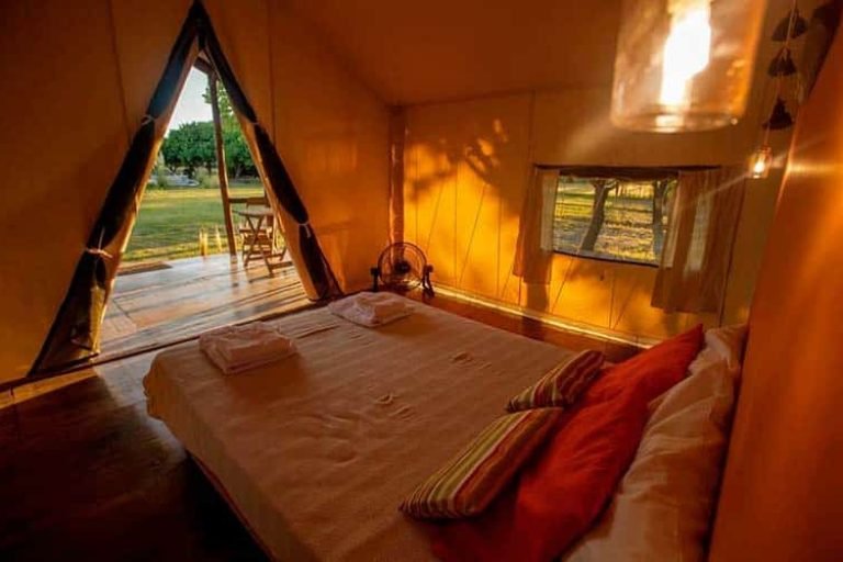 Entre Acequias, General Alvear, Mendoza 3