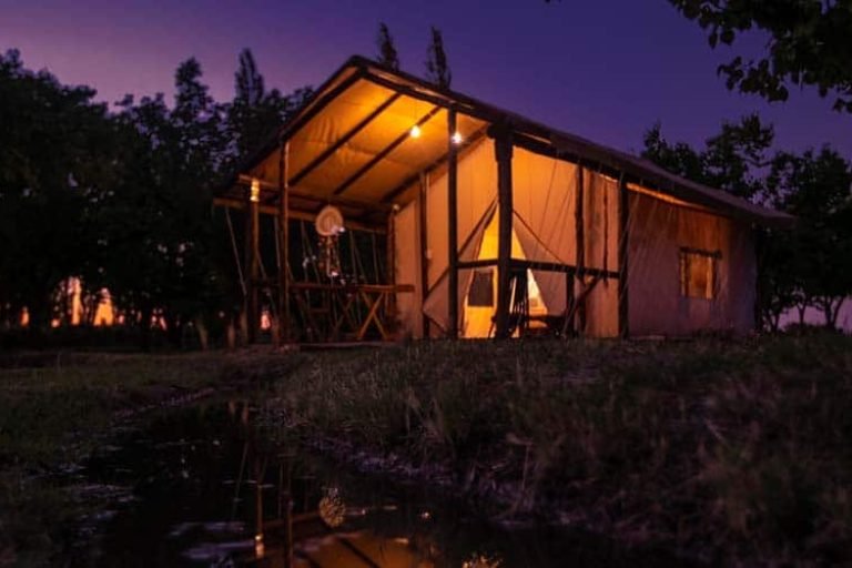 Entre Acequias, General Alvear, Mendoza 4