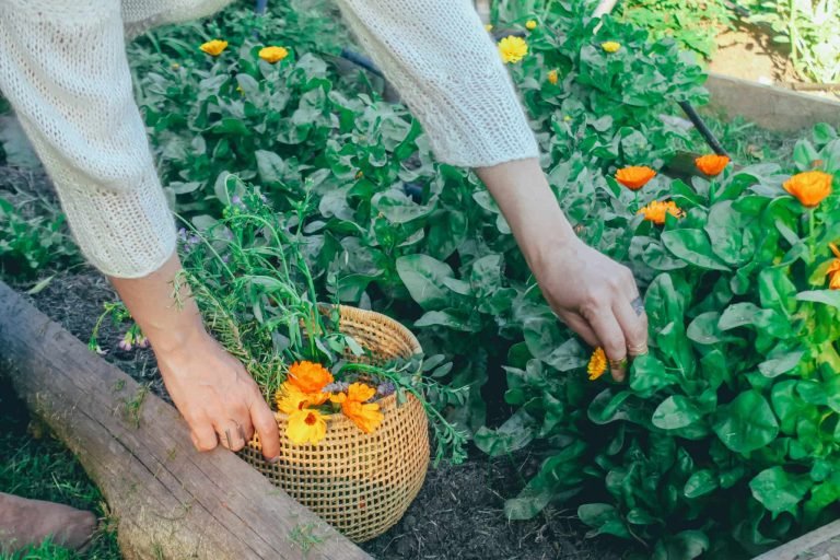 Espacio Timbó, Colonia, Uruguay 3