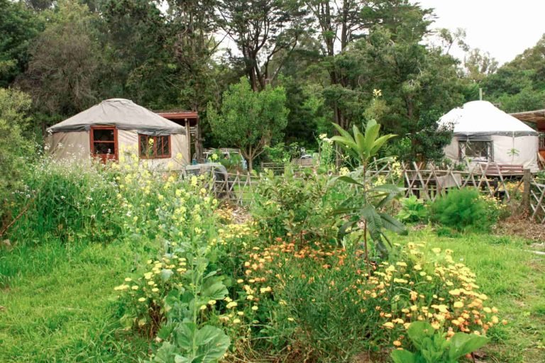 Espacio Timbó, Colonia, Uruguay 5