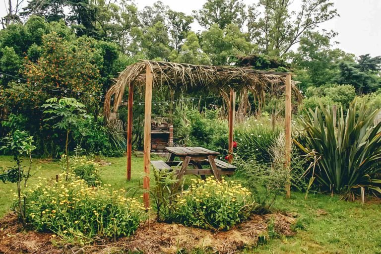 Espacio Timbó, Colonia, Uruguay 6