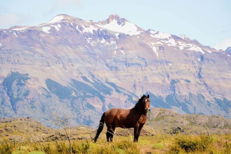 Estancia La Josefina, Santa Cruz, Argentina 11