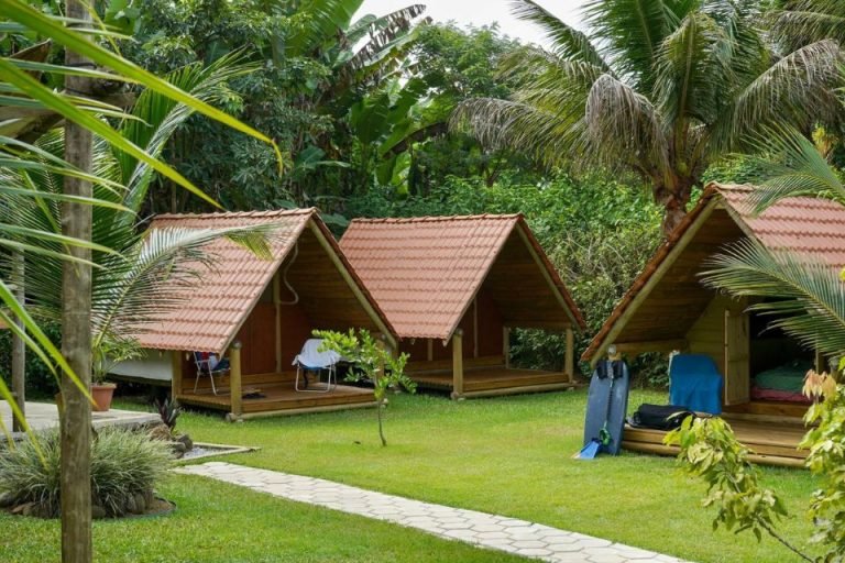 FLORA Praia do Sono Paraty, Rio de Janeiro 1