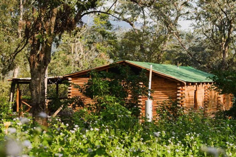 Finca la Fé, Las Yungas Lodge, Jujuy 12-min