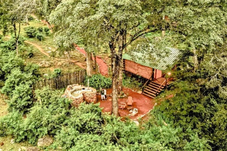 Finca la Fé, Las Yungas Lodge, Jujuy 15-min