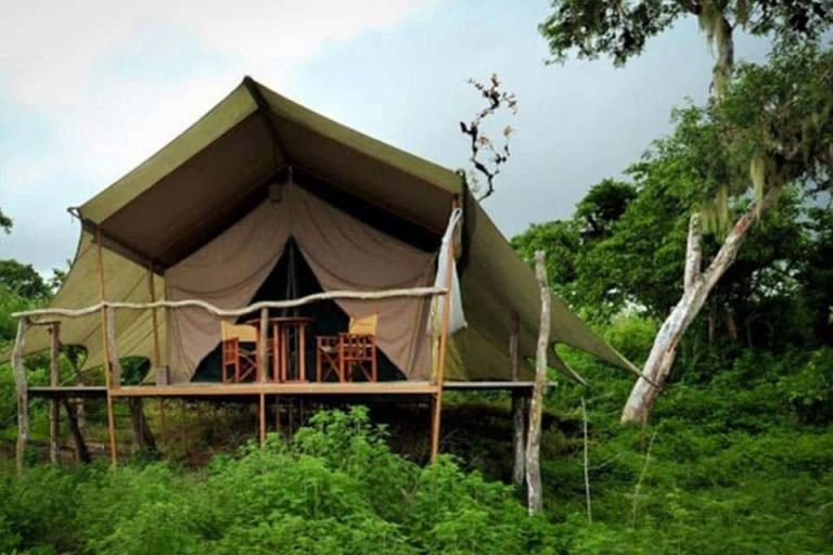 Galapagos Safari Camp. Galapagos, Ecuador 2