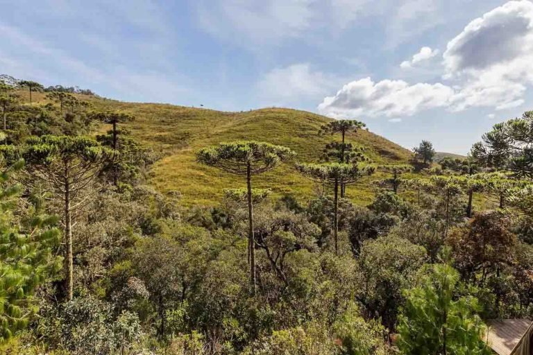 Glamping Amanita, Campos do Jordão, Sao Paulo 7