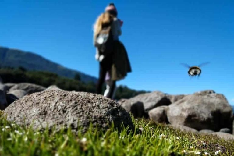 Glamping Inspira, Villa La Angostura, Neuquén 5