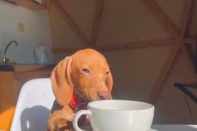 Glamping La Brava, Corrientes, Argentina 3