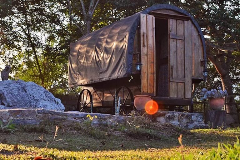 Glamping La Cepa, Barbacoas, Venezuela 1