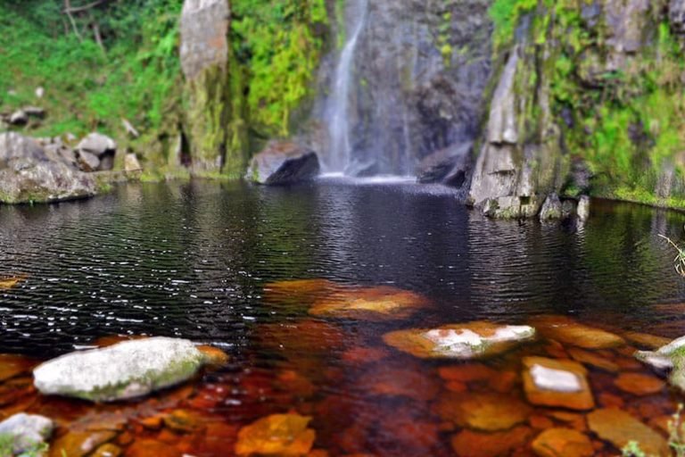 Glamping La Cepa, Barbacoas, Venezuela 12