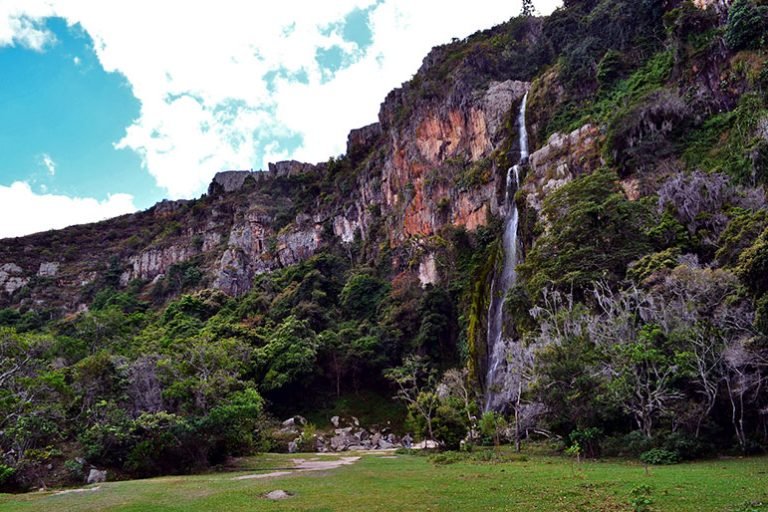 Glamping La Cepa, Barbacoas, Venezuela 13