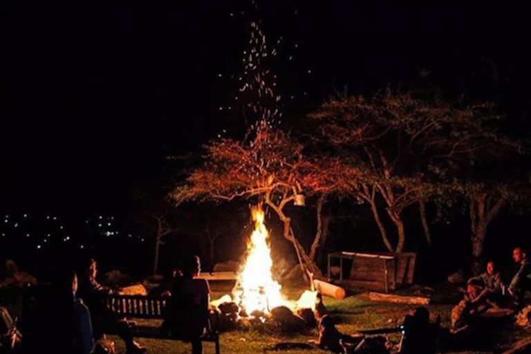 Glamping La Cepa, Barbacoas, Venezuela 5