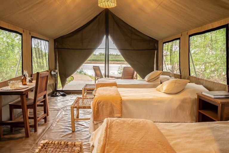 Glamping Los Palmares, El Impenetrable, Chaco 1-min