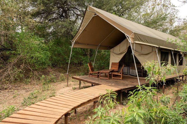 Glamping Los Palmares, El Impenetrable, Chaco 2-min